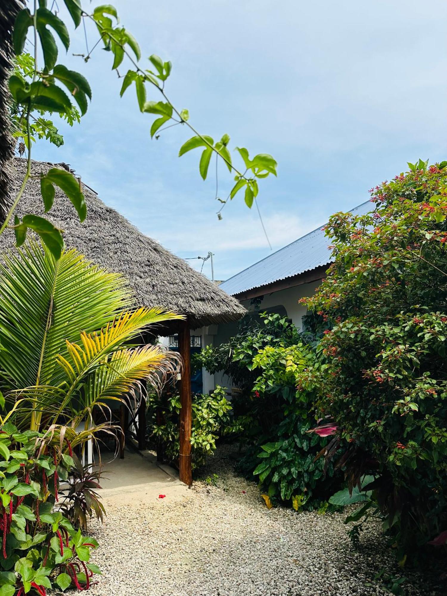 Lighthouse Guesthouse Nungwi Extérieur photo